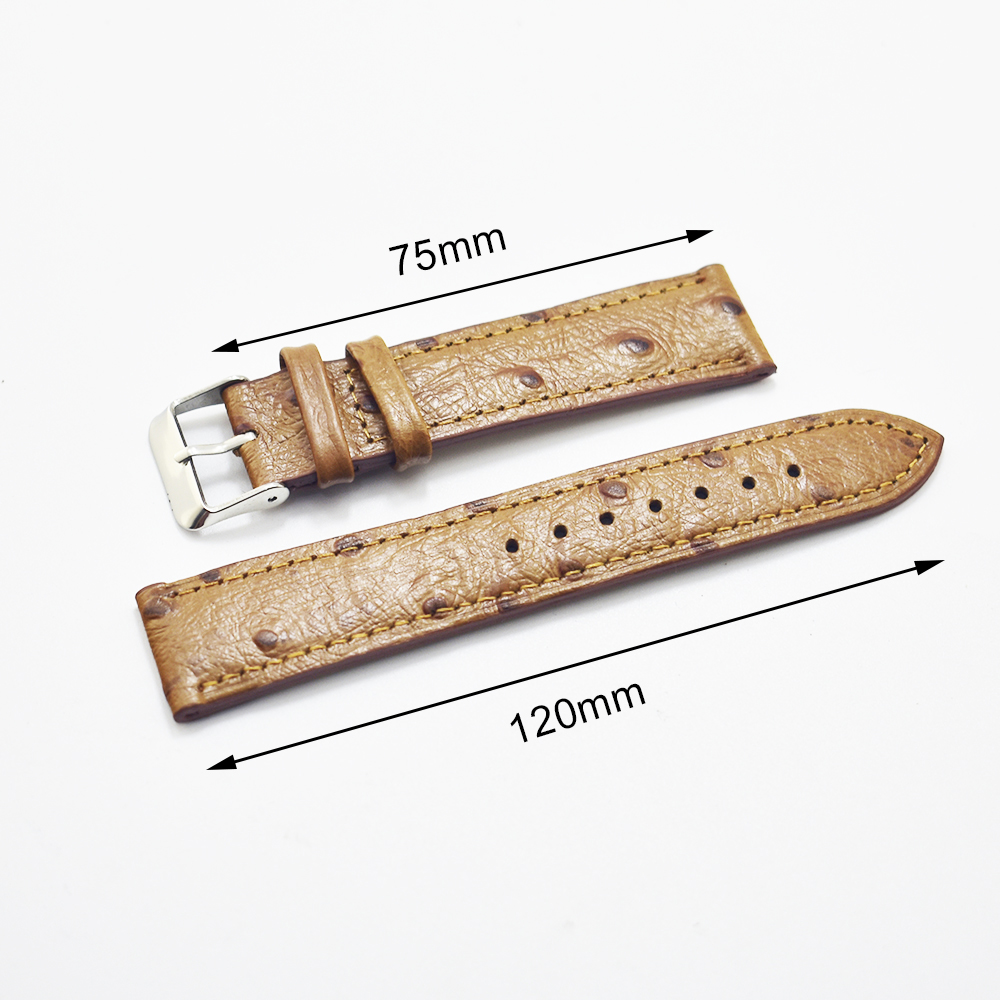 Handgemaakte Struisvogel Patro - Curved Spring Bar recensie en prijs